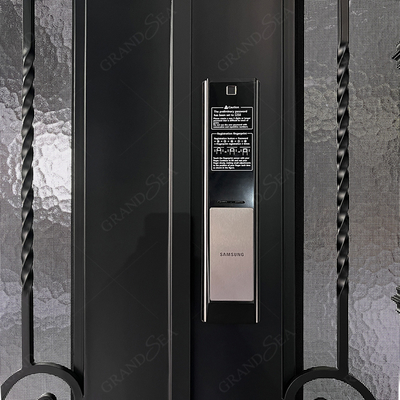 Modern Screen Main Entry Rod House Storm Security Black Single Double Modern Wrought Cost Iron Front Doors