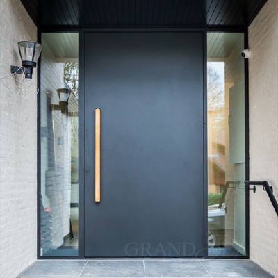Luxury Style Top Quality Black Color Bright Painting Side Glass Fixed Panel Front Pivot Door with Stainless Steel Handle