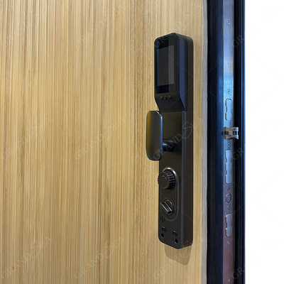 Italian Front Door Design Villa Pivot Entrance Security Luxury Front Pivot Door Modern Entry Black Aluminum Pivot Door