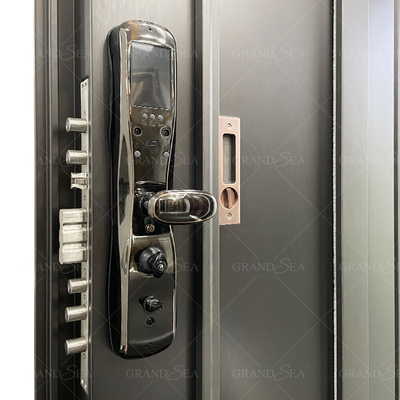France Style  Advanced Stainless Steel Door Good Quality Superior a Class Locksystem Israel Security Door