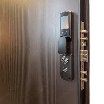 GRANDSEA Stainless Steel Solid Wood Armoured Security Door Exterior Invisible Hidden Steel Front Main Door